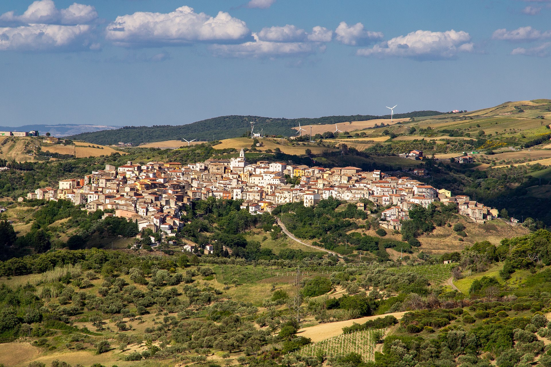 Ripacandida
